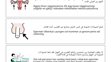 Om hur en blir gravid och andra sätt att få barn