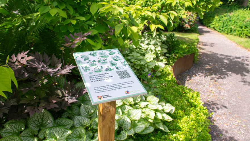 Längs en slingrande grusgång följer rabatter med växter och buskar. En metallkant markerar rabatten och kanten följer den slingrande gången, som i vågor. I rabatten står en skylt med en QR-kod och en text med instruktioner hur man kan lyssna på en dikt.