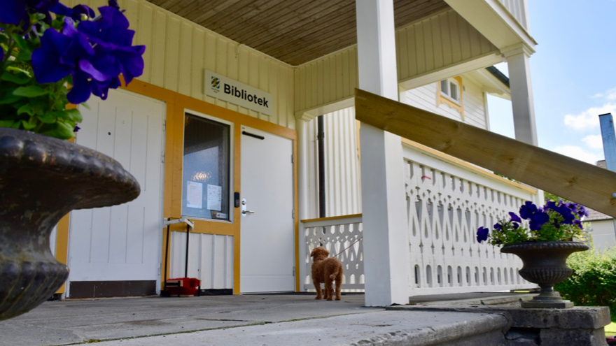 En liten hund står och väntar på matte eler husse på bibliotekets veranda. Den tittar förväntansfullt mot den stängda dörren som har skylten "Bibliotek" ovan sig.
