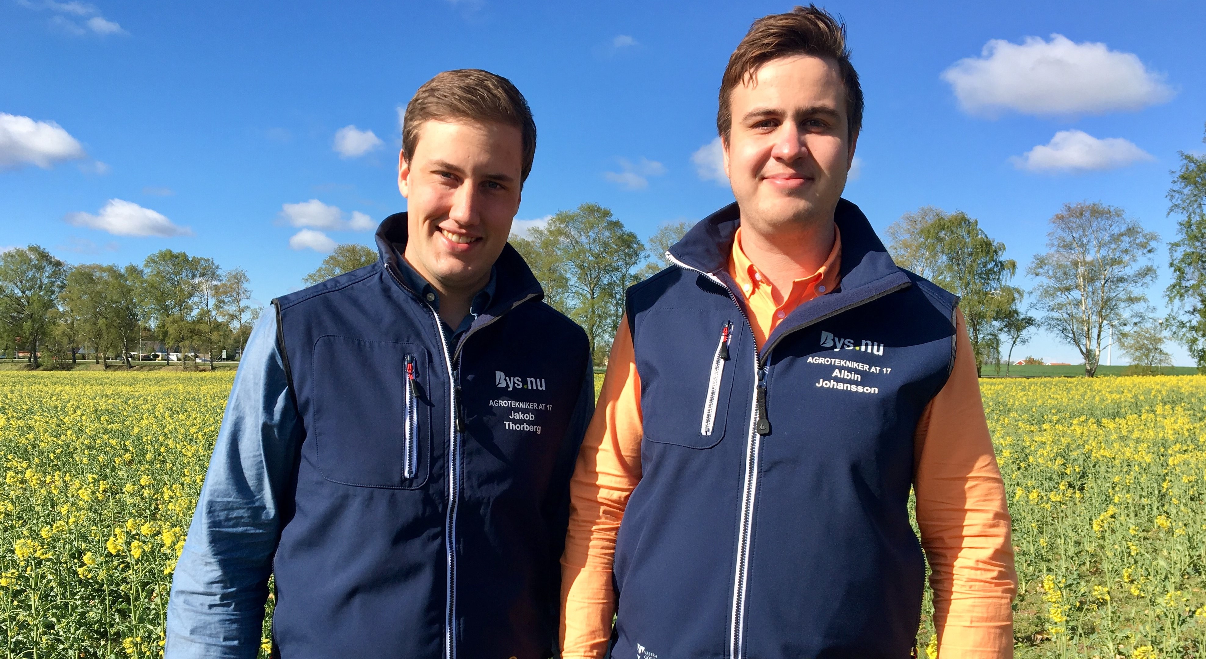 Två personer står i ett gult rapsfält med en blå himmel i bakgrunden