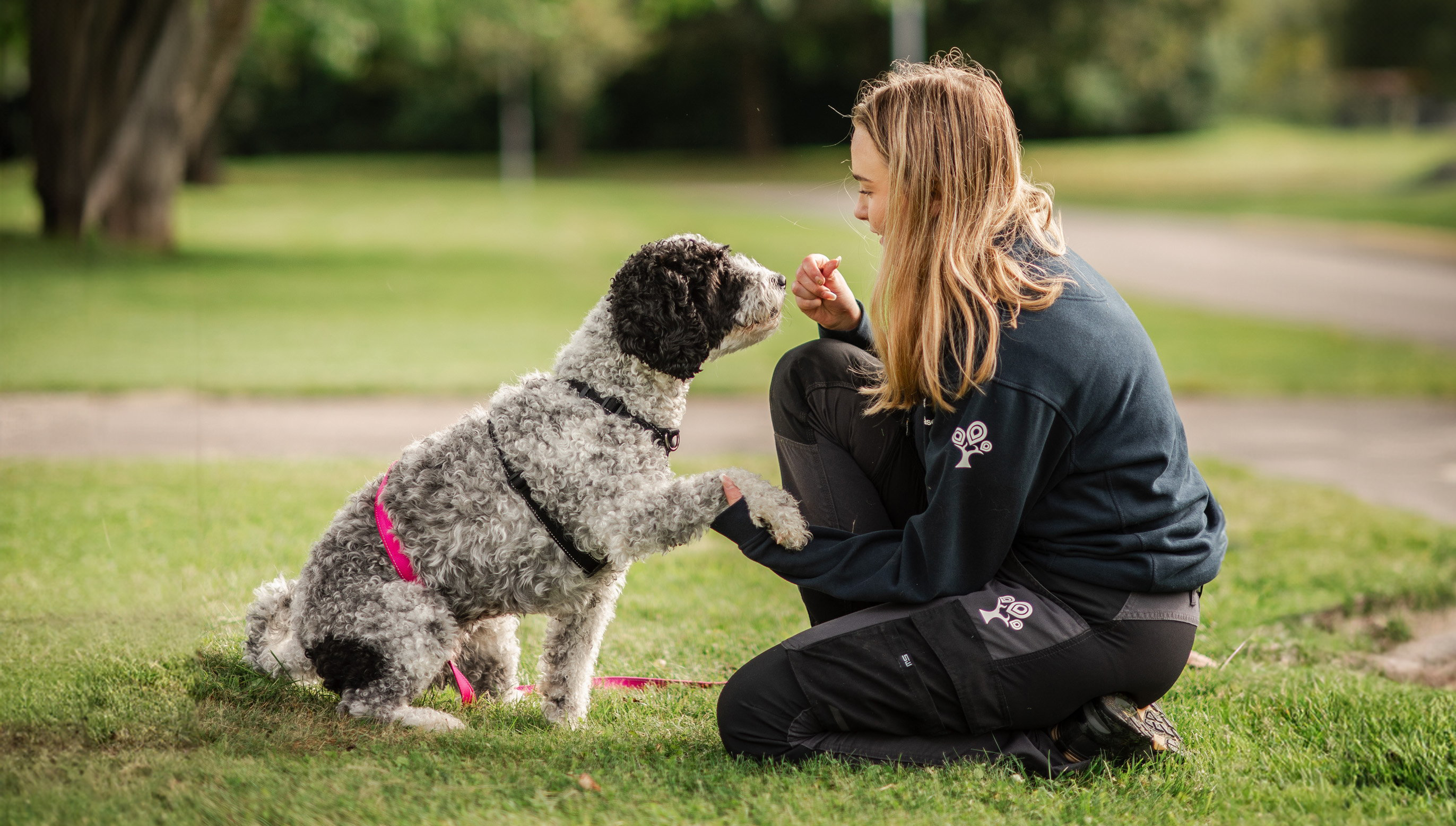 Elev sitter ned i gräset och håller i tassen på sin hund